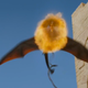 Image for article titled New Game of Thrones Trailer! New Game of Thrones Trailer!